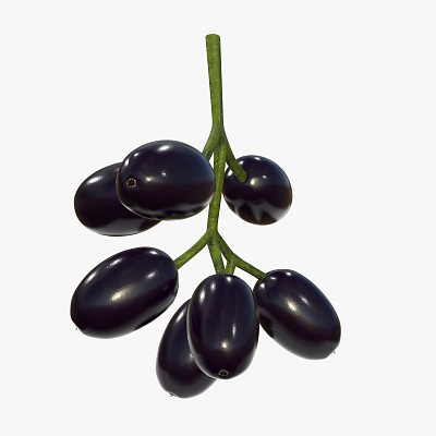 Jambolan plums with stem