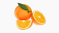 Orange comp 01