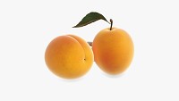 Apricot fresh cut fruits with leaf