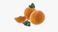 Apricot fresh cut fruits with leaf