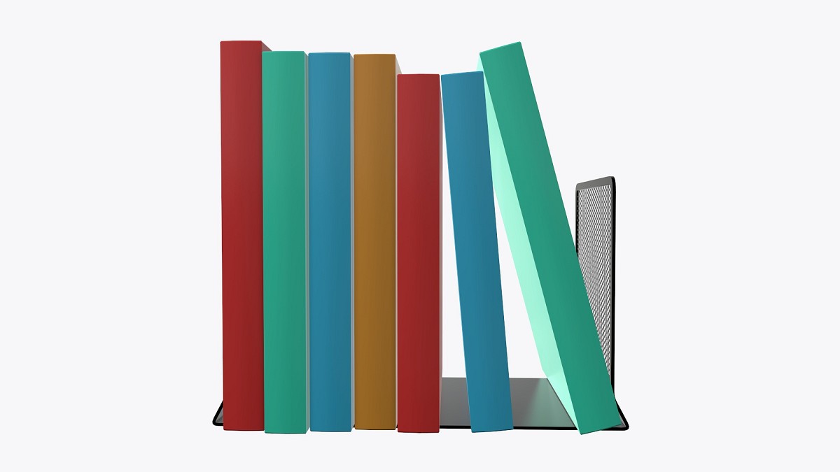 Book mesh holder with books