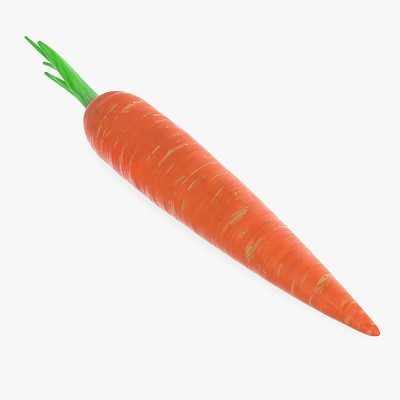 Carrot 01