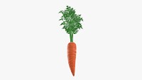 Carrot 02