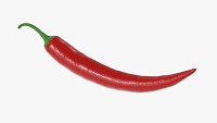 Chili pepper 02