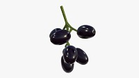 Jambolan plums with stem