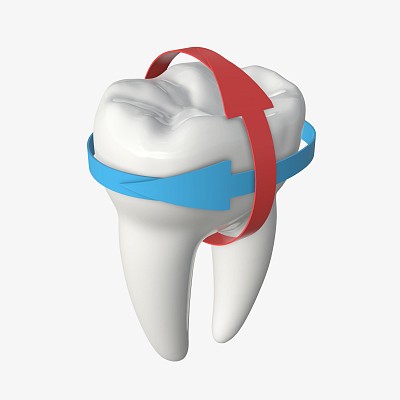 Tooth molars with arrow 1