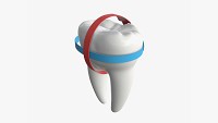 Tooth molars with arrow 01