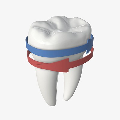 Tooth molars with arrow 2