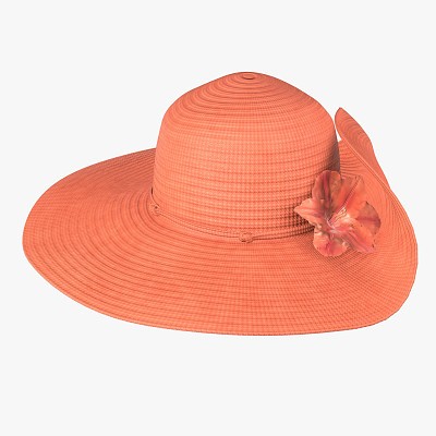 Floppy summer woman hat 2