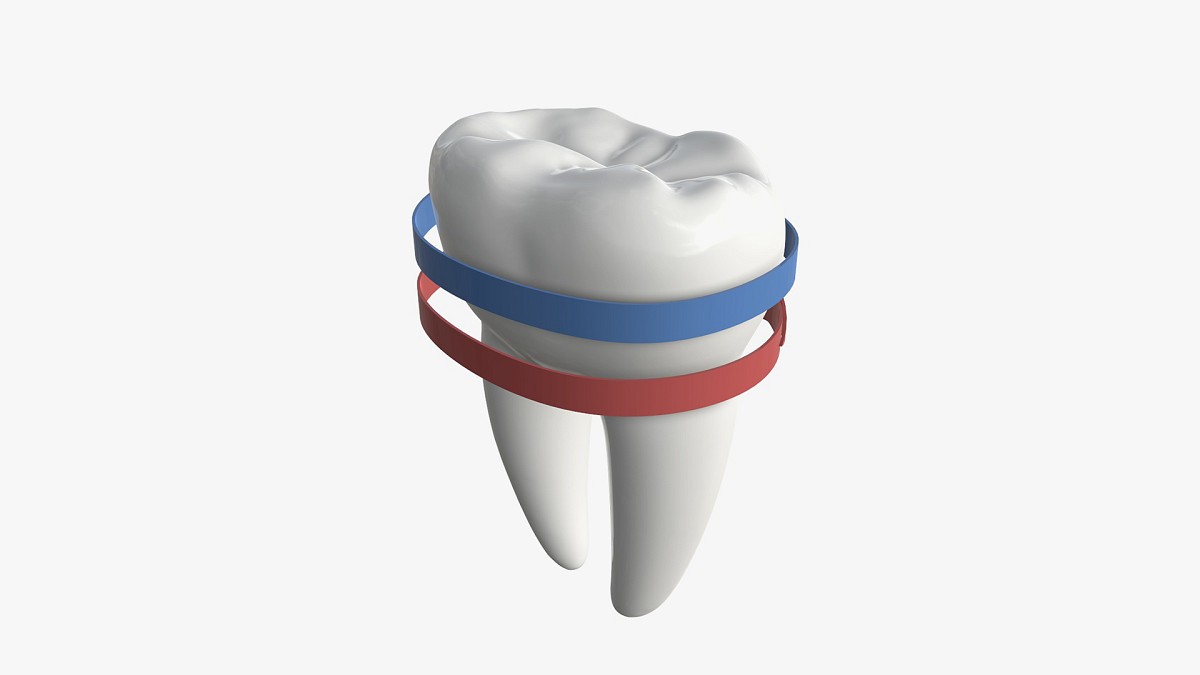 Tooth molars with arrow 02