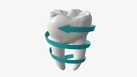 Tooth molars with arrow 03