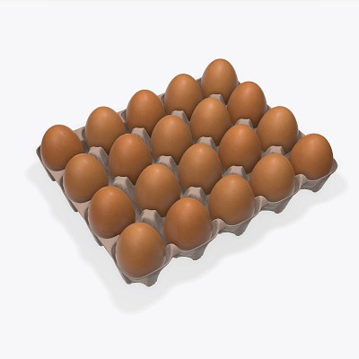 Cardboard base 20 eggs