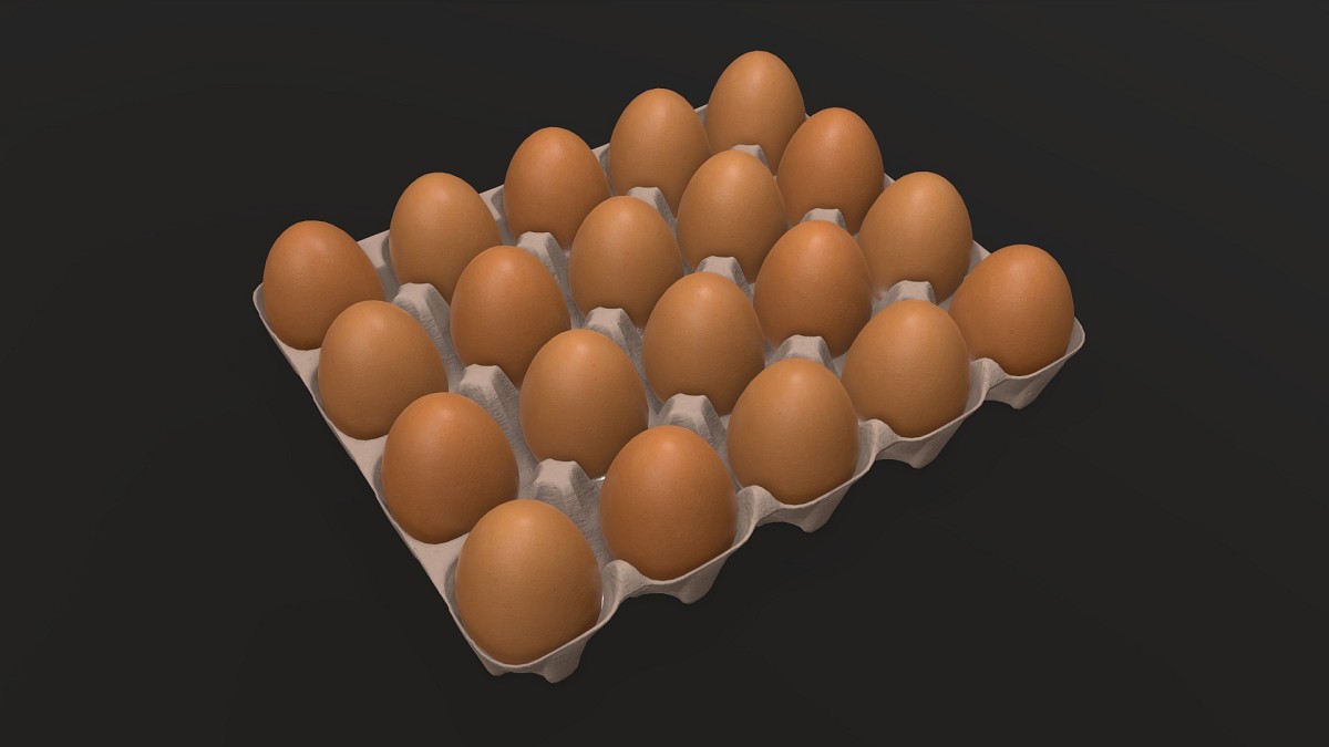 Egg cardboard base for 20 eggs