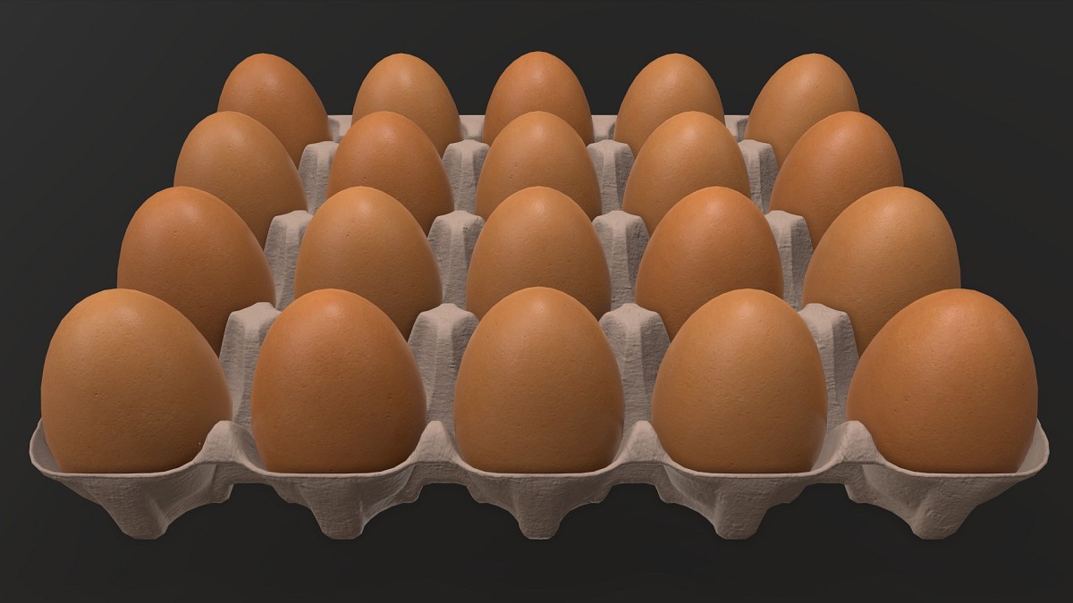 Egg cardboard base for 20 eggs