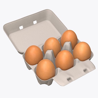 Egg cardboard 6-pack open