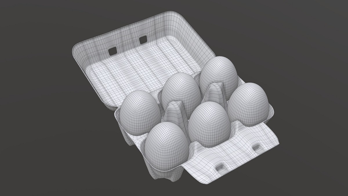 Egg cardboard package for 6 eggs opened
