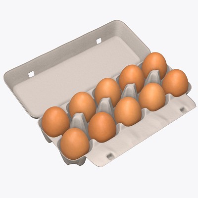 Cardboard 10 eggs open