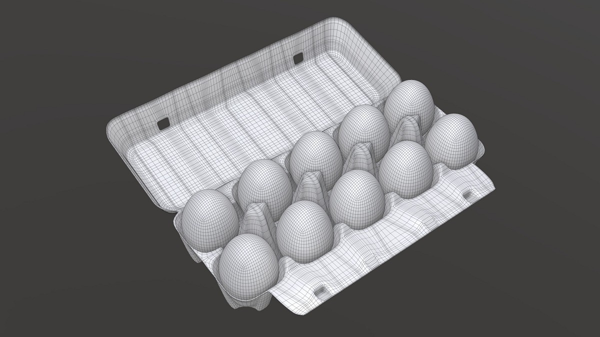 Egg cardboard package for 10 eggs opened