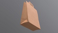Paper bag large with handle