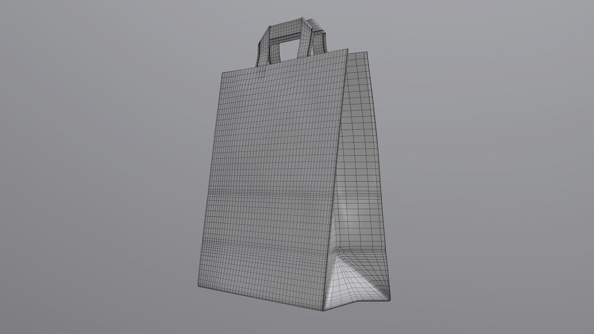 Paper bag large with handle