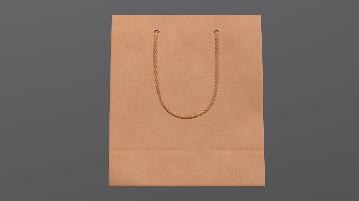 Paper bag large with string handle