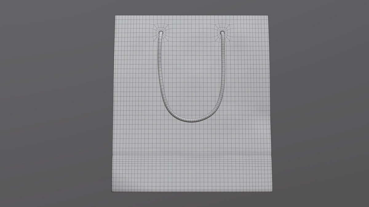 Paper bag large with string handle