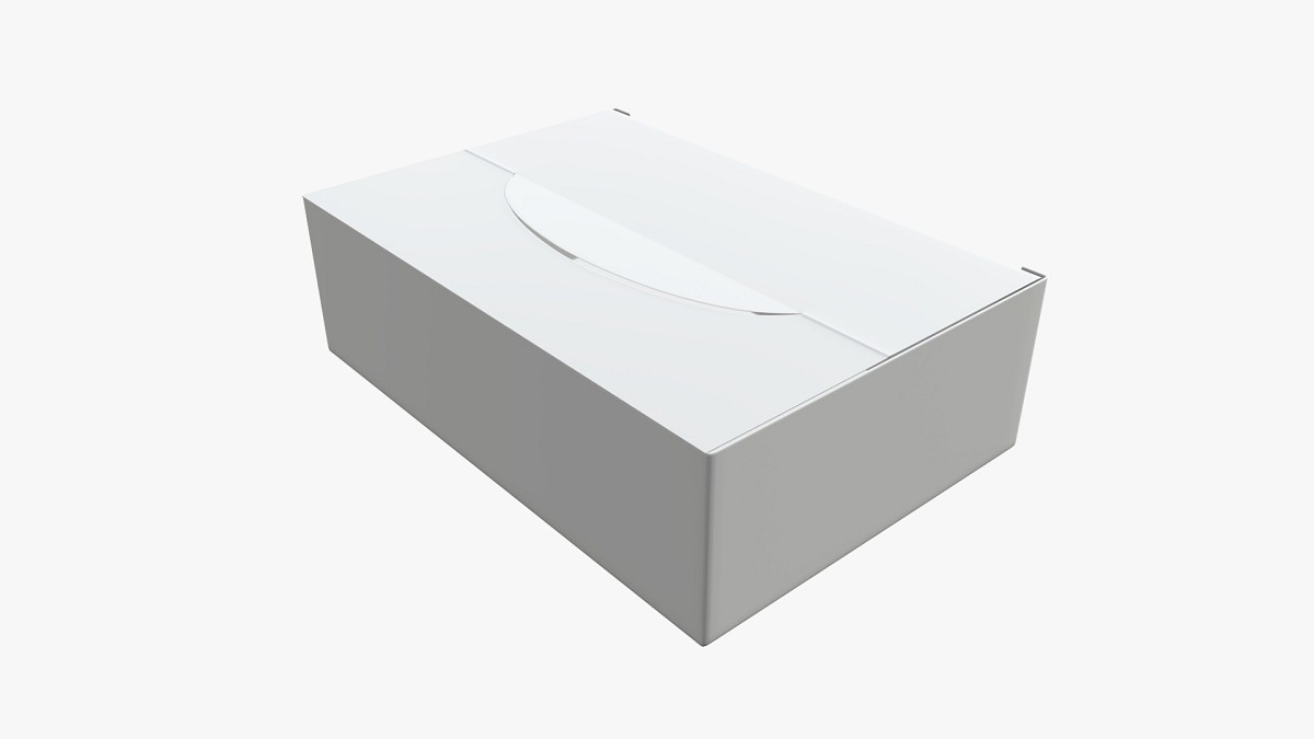 Package blank white closed mock up