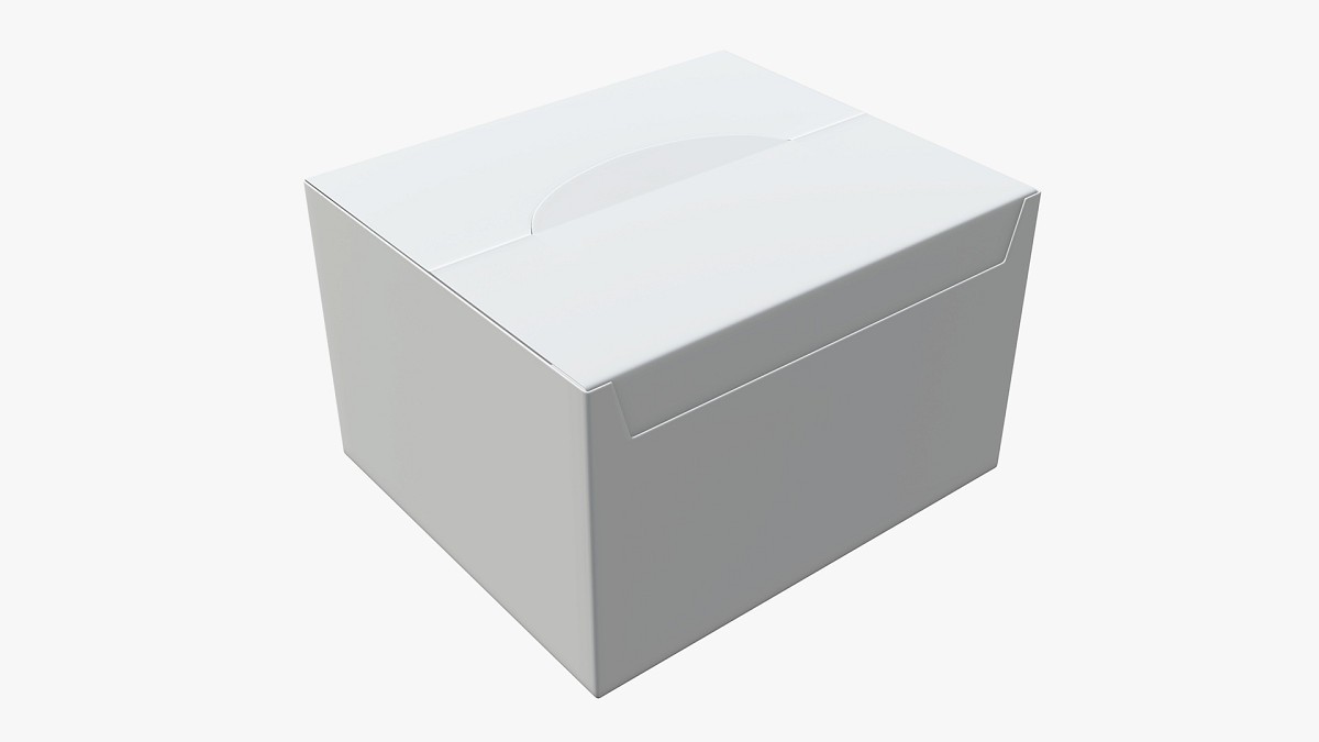 Package blank white closed large mock up