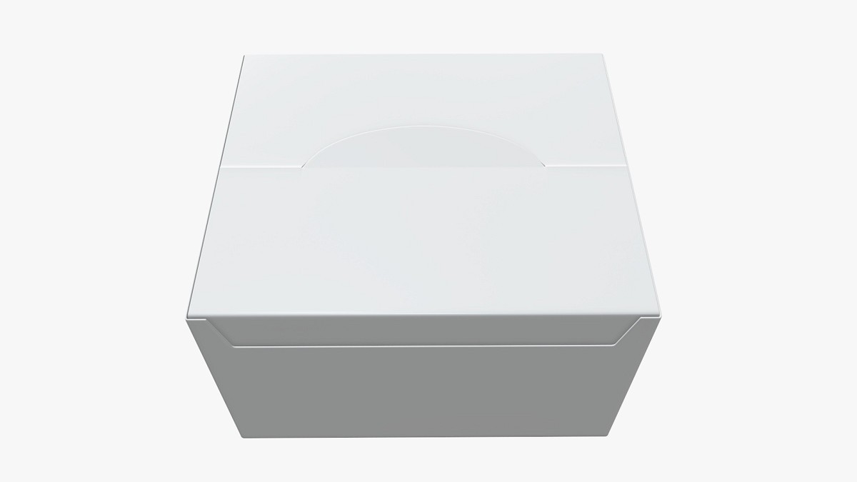 Package blank white closed large mock up