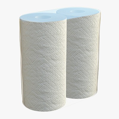 Paper towel 2 pack small