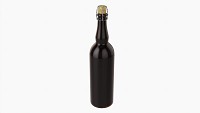 Beer bottle blank