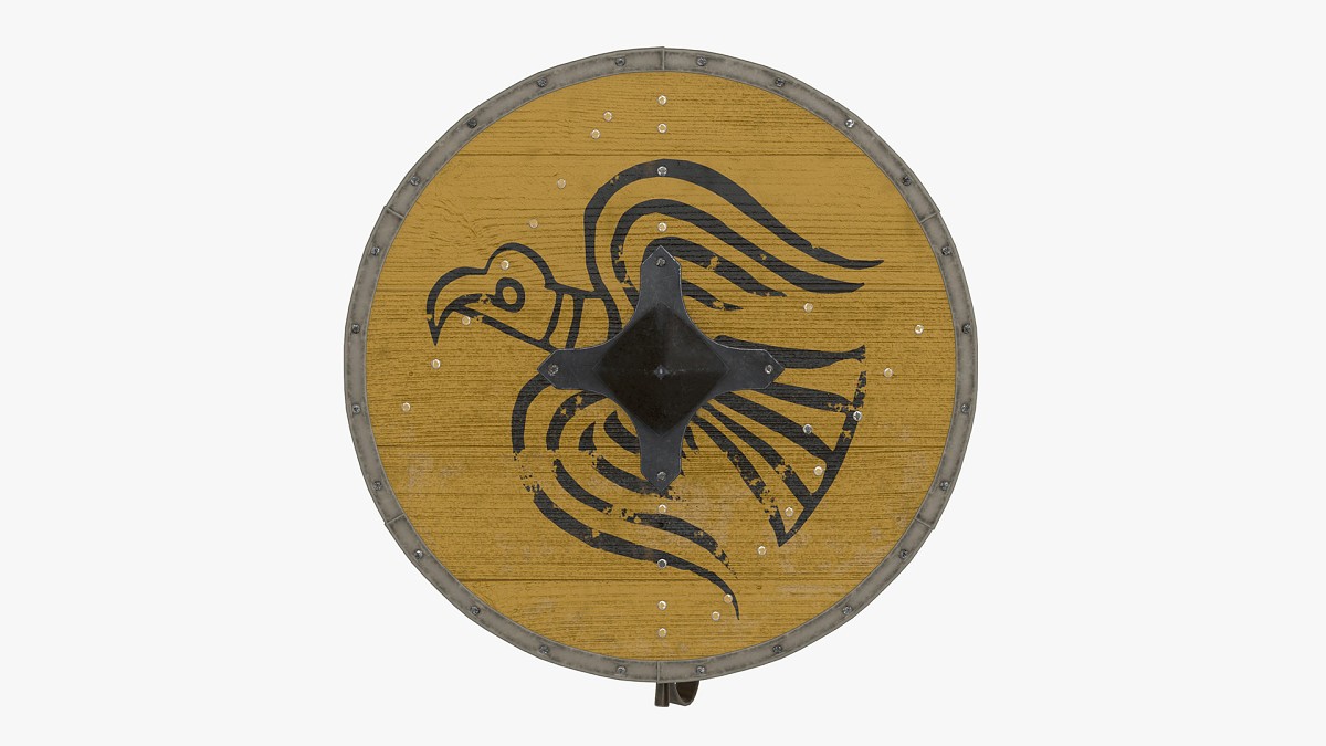 Viking Round Shield 5