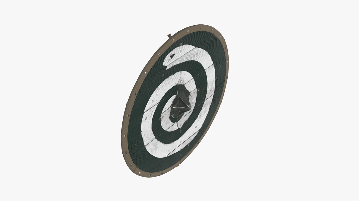 Viking Round Shield 4