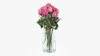 Rose flowers in vase