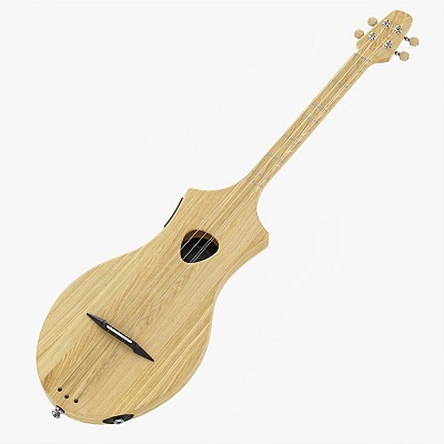 4-String Instrument 01