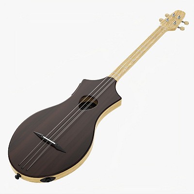4-String Instrument 02