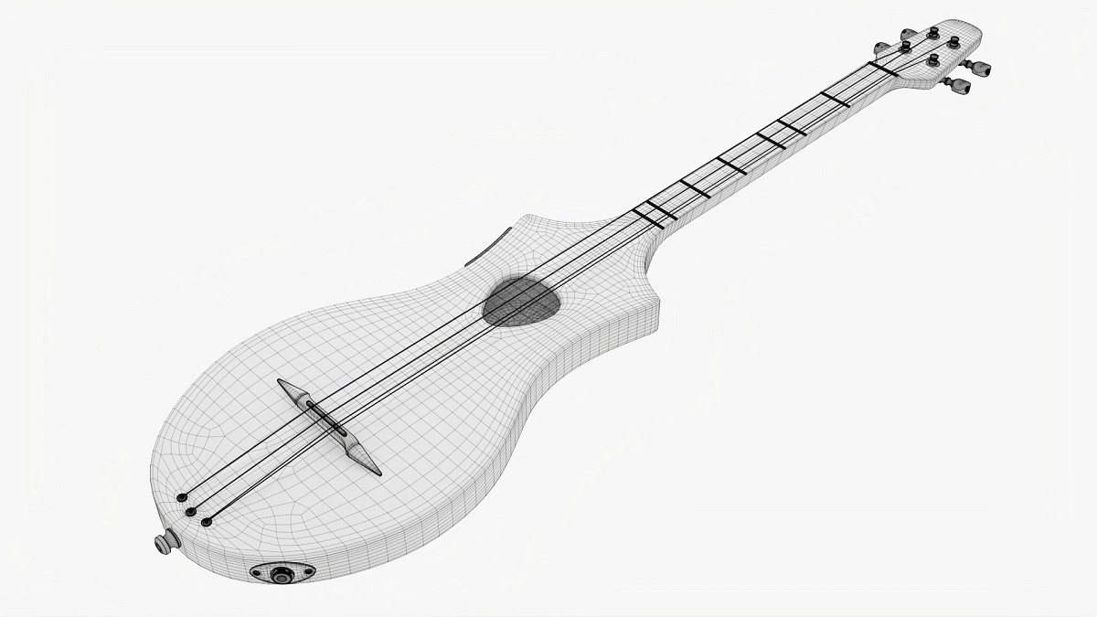 Acoustic 4-String Instrument 02