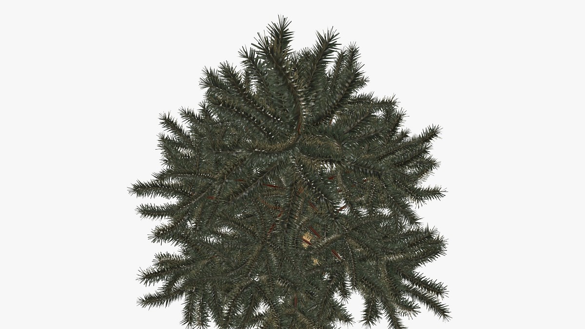 Artificial fir tree 05