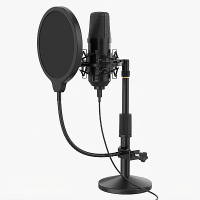 Microphone With Stand USB