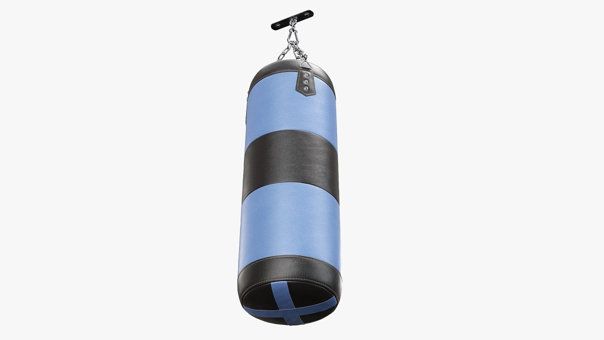 Ceiling boxing punch bag