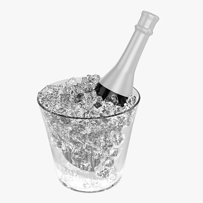 Bottle glass bucket ice
