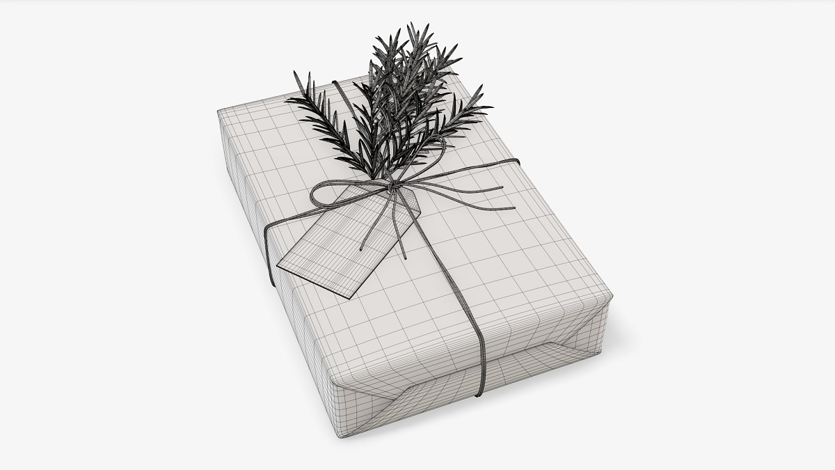 Christmas gift wrapped 05