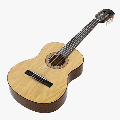 Classic Acoustic Guitar 1