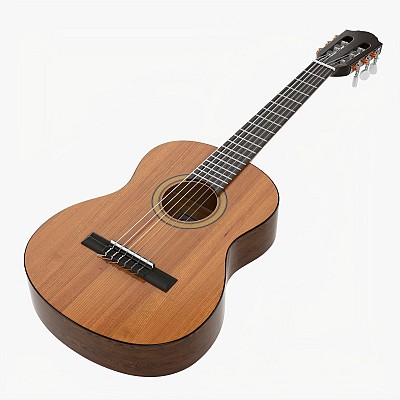 Classic Acoustic Guitar 2