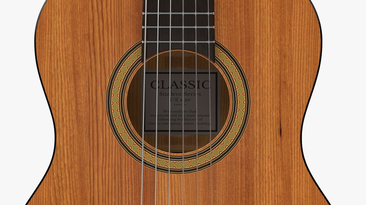 Classic Acoustic Guitar 2