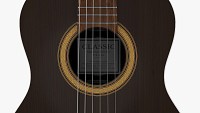 Classic Acoustic Guitar 3