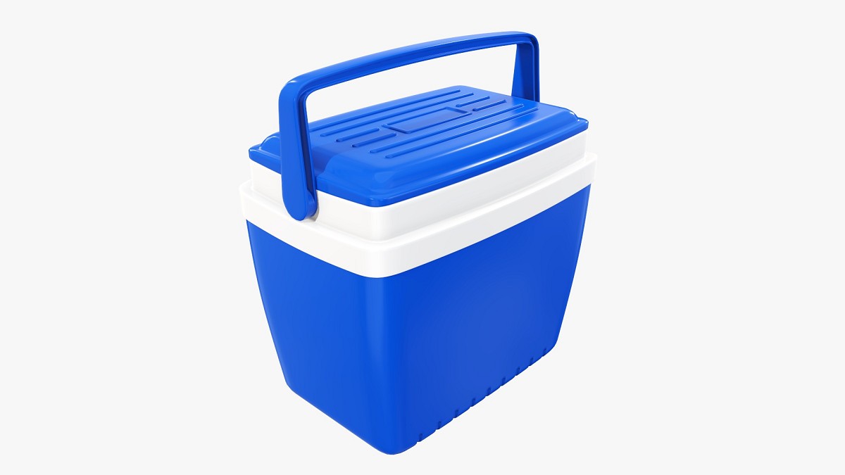 Cooler box with handle