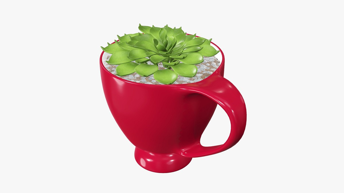 Decorative plant in cup