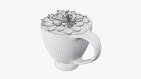 Decorative plant in cup