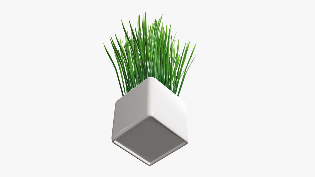 Decorative potted long grass